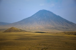 DSC_254.jpg