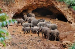 Elephant Caves.jpg