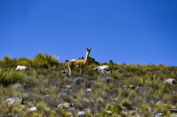 sm_geoparque 22 COLCA.jpg